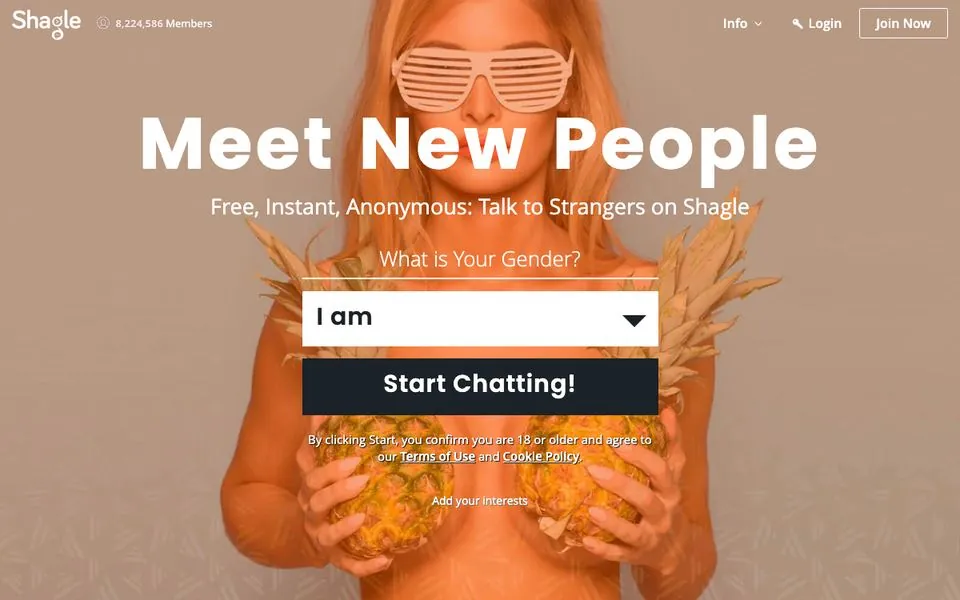 Shagle homepage screenshot